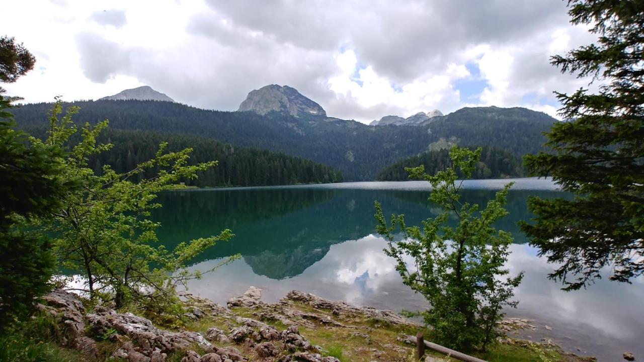 Villa High Haven Durmitor Žabljak Exterior foto
